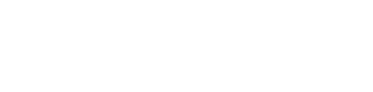 TENEMOS PASIÓN POR CREAR ALGO NUEVO 